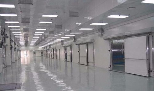 上海专业二手冷库回收服务 为企业创造物料管理新价值