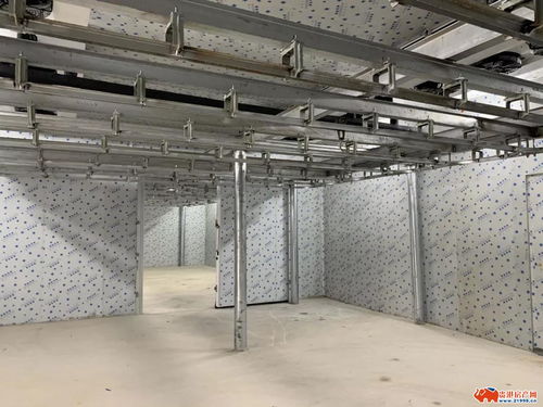 肉类冷冻的最佳储藏地 贵港市食品公司千吨级大型冷库正式开启