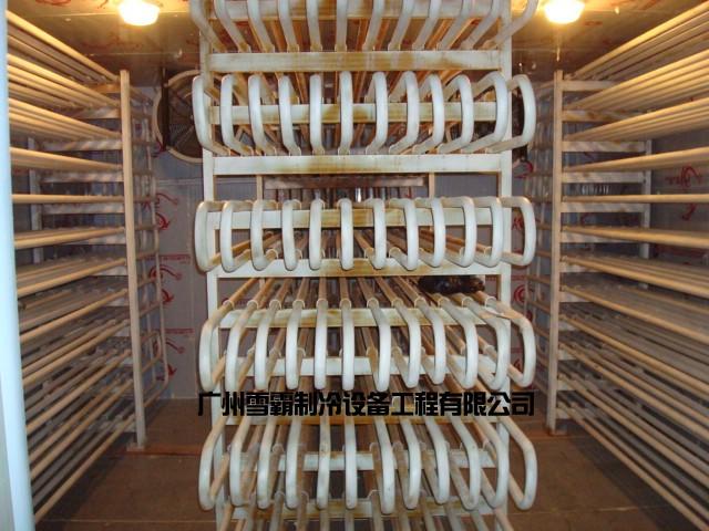 广州雪霸制冷工程设备是集冷库产品设计,产品开发,产品制造
