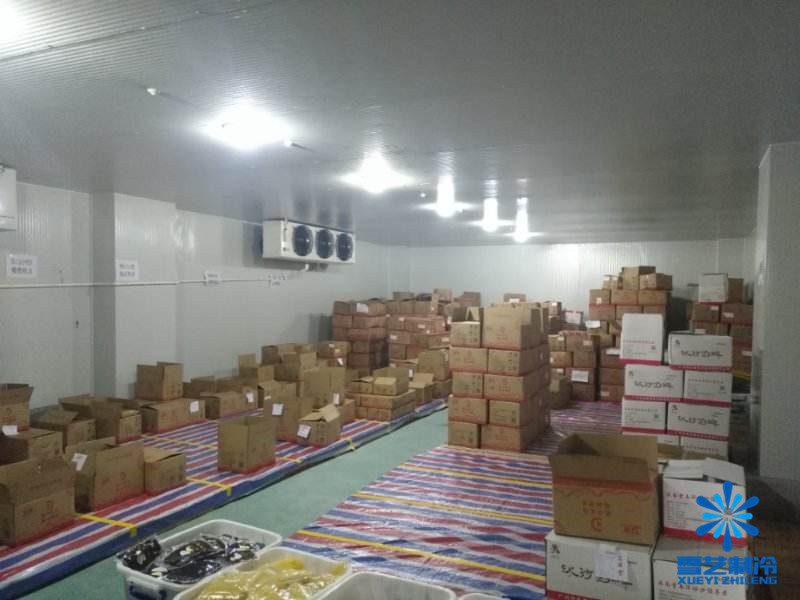 在城市安装一个600平方米食材冷库要多少钱？完整造价分析